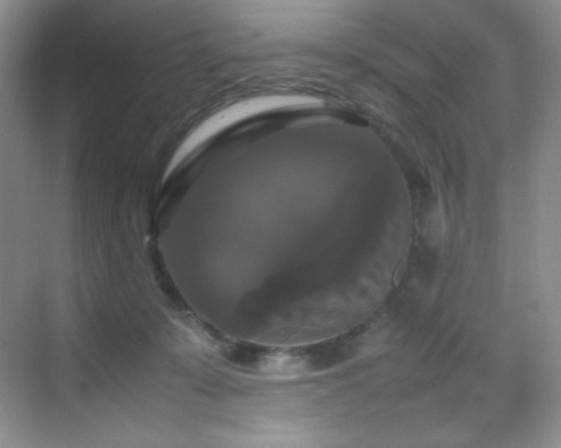 X0000070250319200606021202