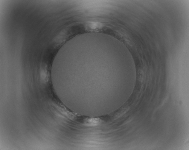 X0000070250324200606021202