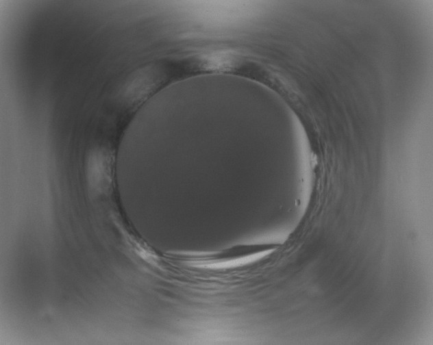 X0000070250325200606021202
