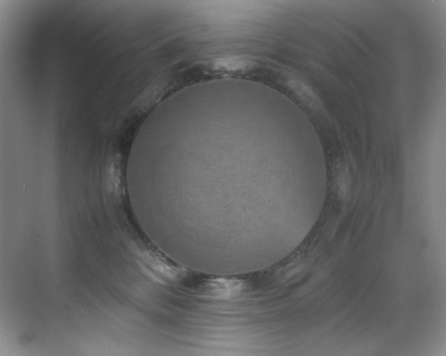 X0000070250328200606021202