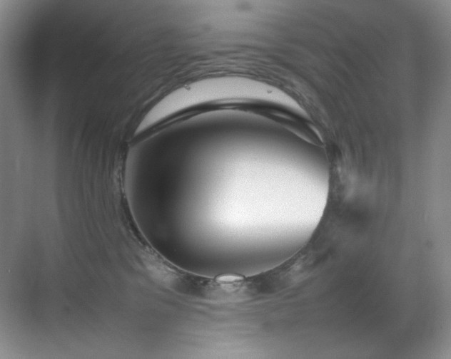 X0000070250329200606021202