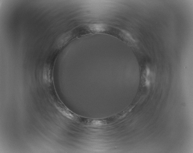 X0000070250330200606021202