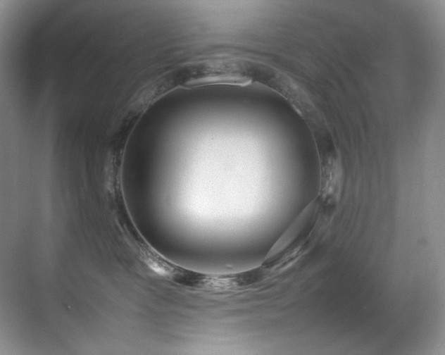 X0000070250333200606021202
