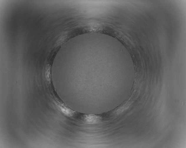 X0000070250336200606021202