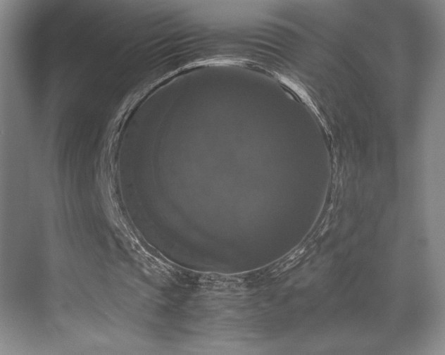 X0000070250337200606021201