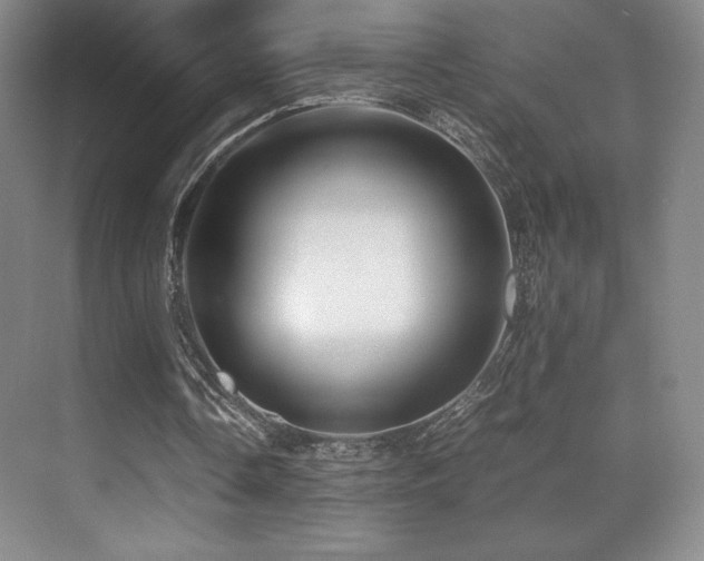 X0000070250338200606021201