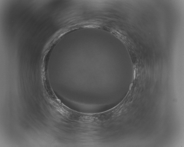 X0000070250339200606021201