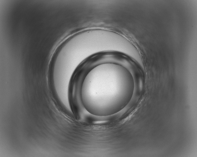 X0000070250344200606021201
