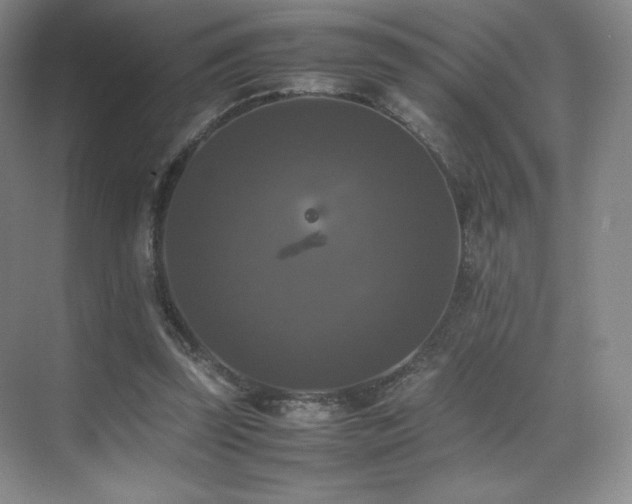 X0000070250347200606021202
