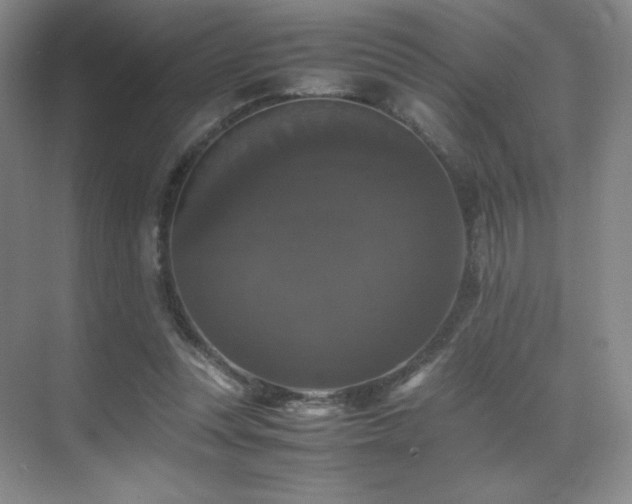 X0000070250351200606021202