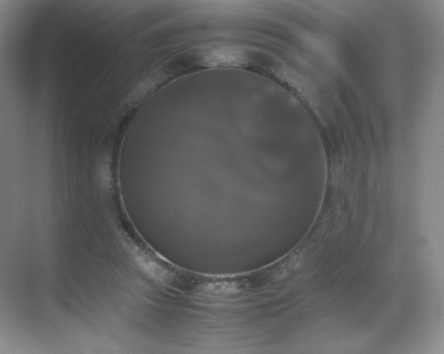 X0000070250353200606021202