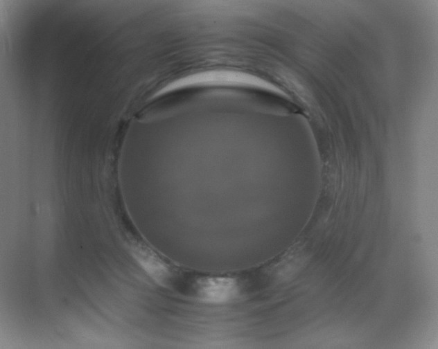 X0000070250361200606021202