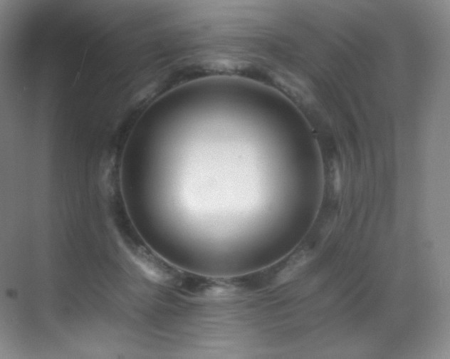 X0000070250364200606021202
