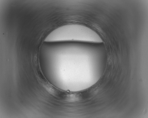 X0000070250365200606021202