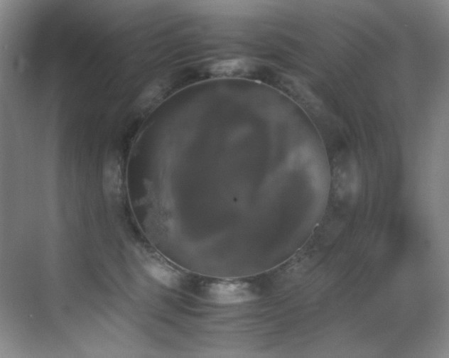 X0000070250375200606021202