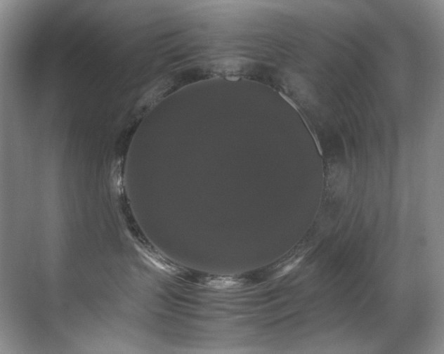 X0000070250383200606021202