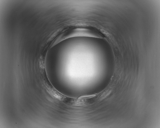 X0000070250384200606021202