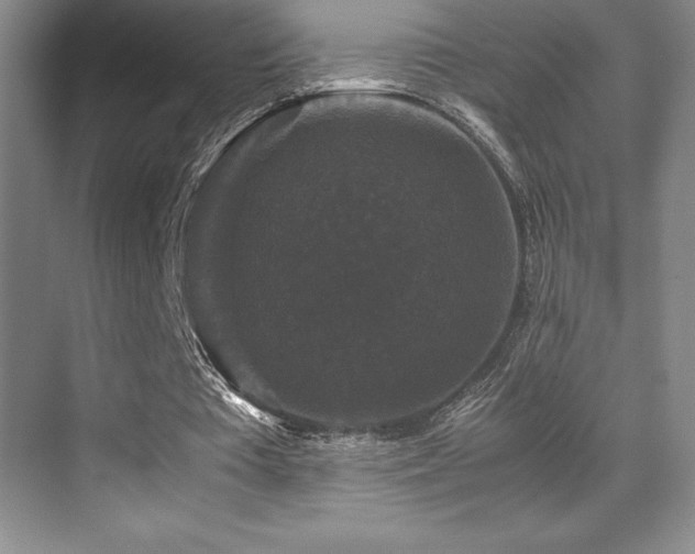 X0000070250385200606021201