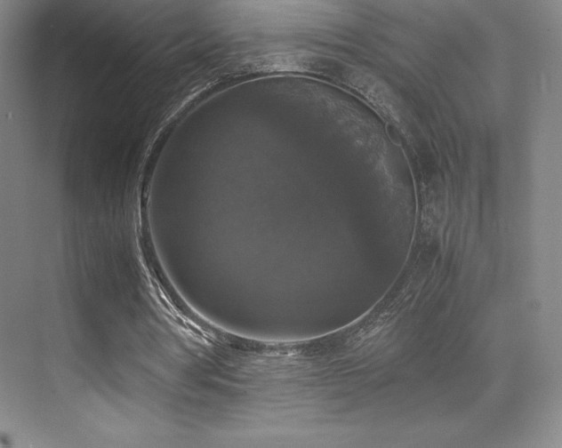 X0000070250386200606021201