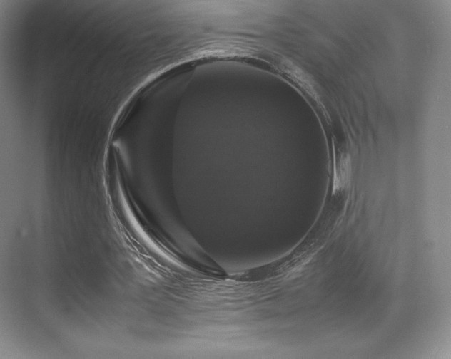 X0000070250387200606021201