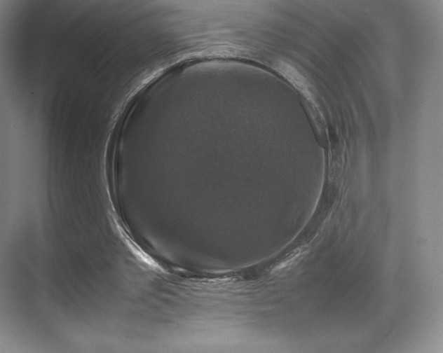 X0000070250389200606021201
