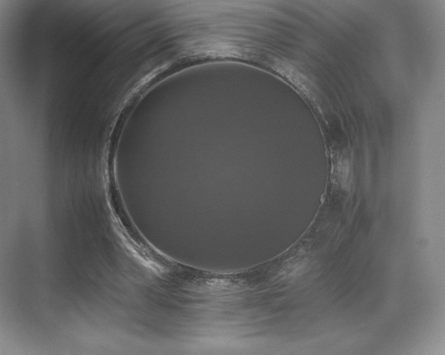 X0000070250390200606021201
