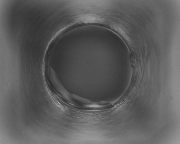 X0000070250391200606021201