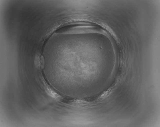 X0000070250393200606021201