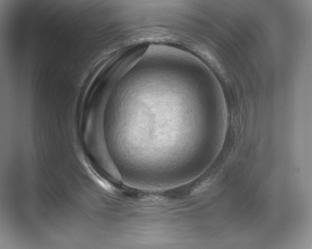 X0000070250397200606021201