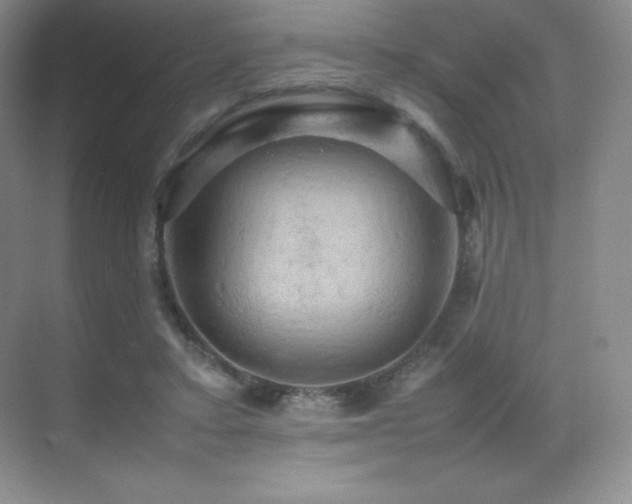 X0000070250403200606021201