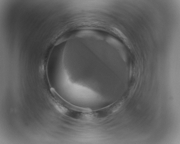 X0000070250405200606021201