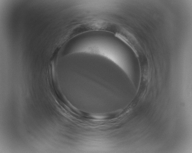 X0000070250409200606021201