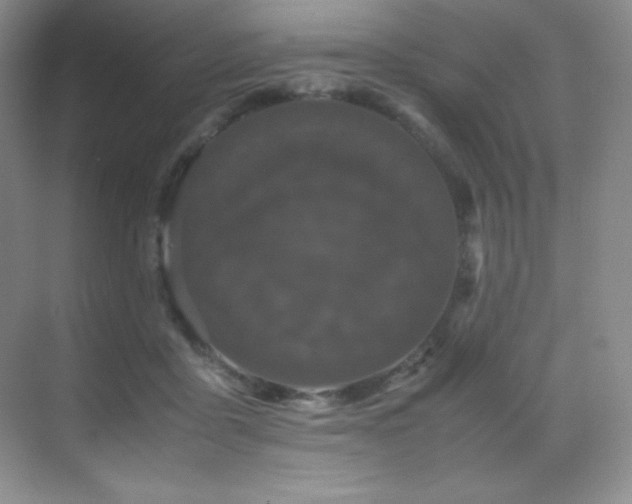 X0000070250411200606021201