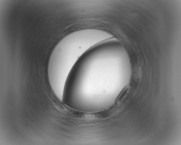 X0000070250413200606021201