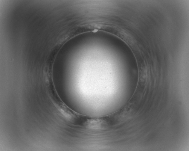 X0000070250414200606021201