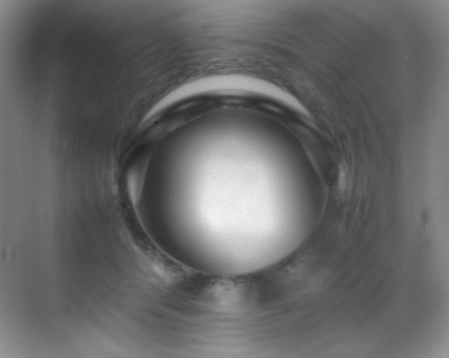 X0000070250416200606021201