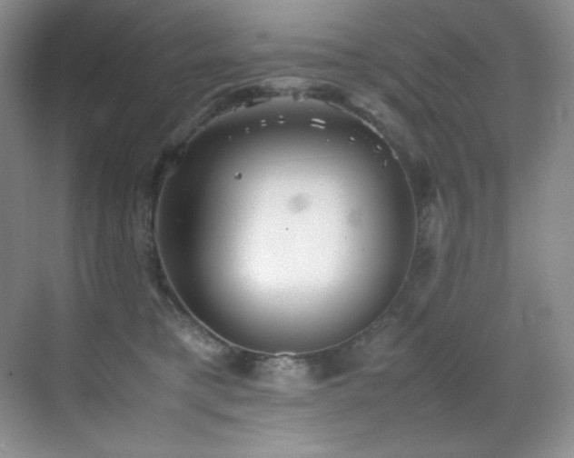 X0000070250421200606021201