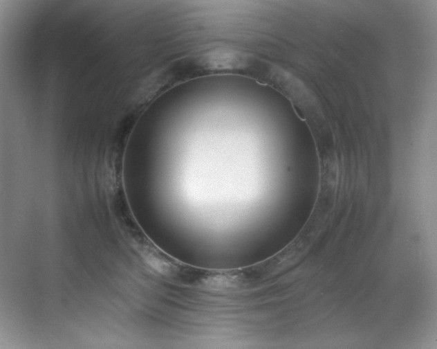 X0000070250422200606021201