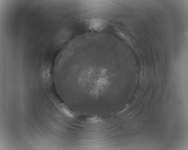 X0000070250424200606021201