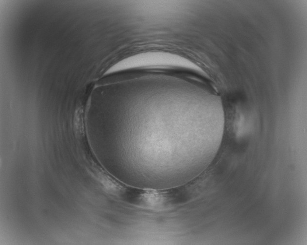 X0000070250425200606021201
