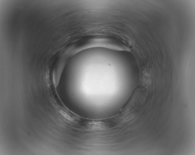 X0000070250428200606021201