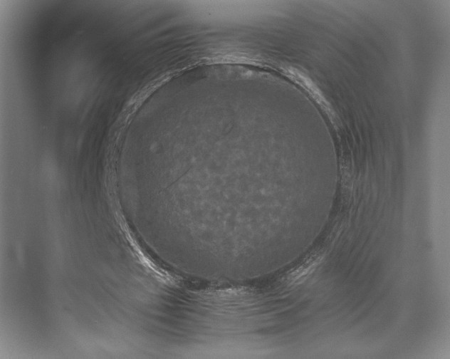 X0000070250433200606021200