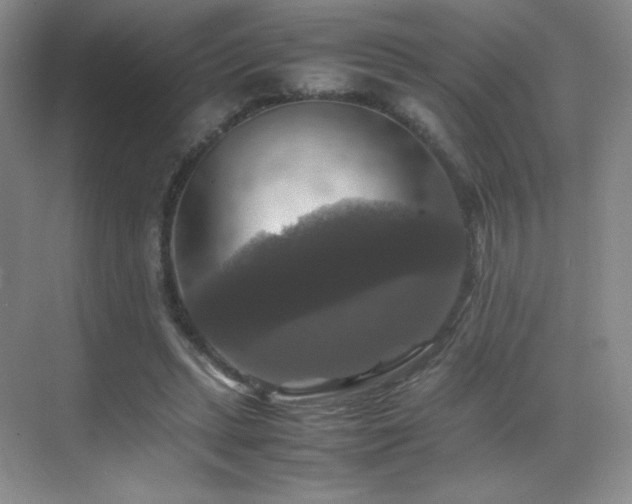 X0000070250447200606021200