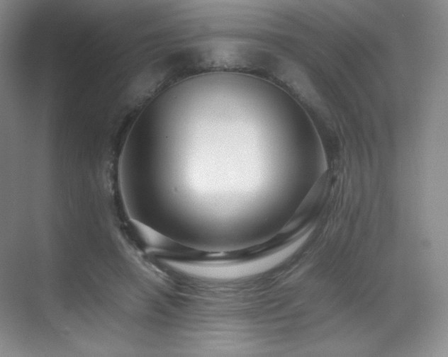 X0000070250450200606021200