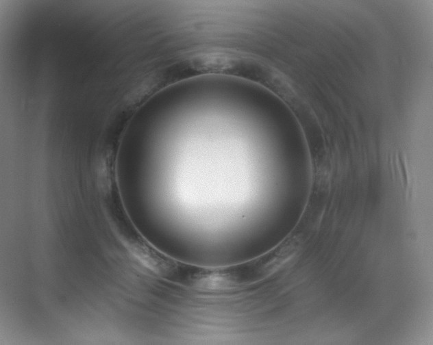 X0000070250460200606021200