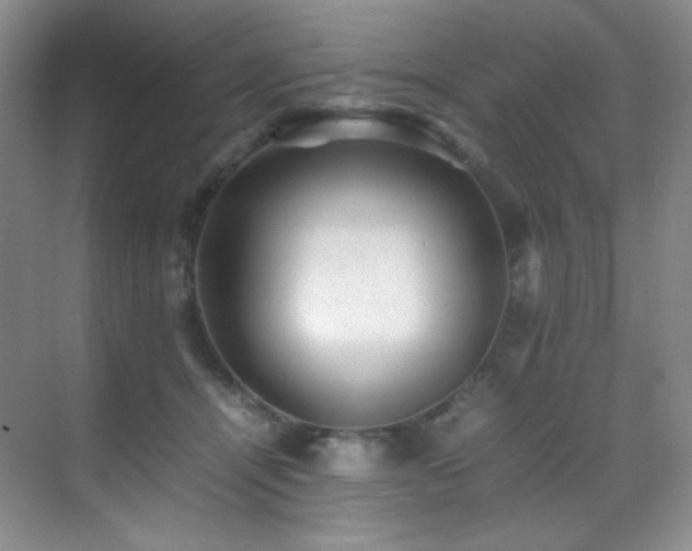 X0000070250464200606021200
