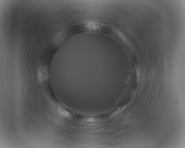 X0000070250467200606021200