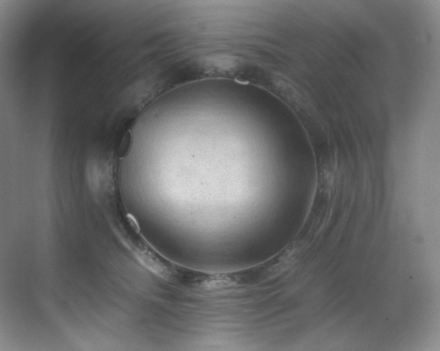 X0000070250468200606021200