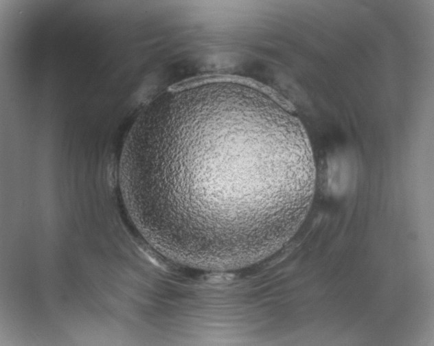 X0000070250474200606021200