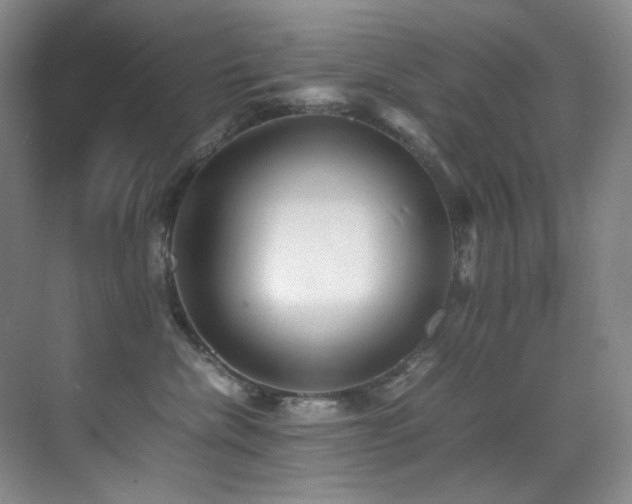 X0000070250476200606021200